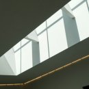 조명라인
