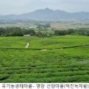 옥적마을회관 이미지