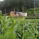 강림면301 이미지