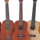 반려악기 우쿨렐레 이미지