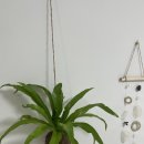 어도스테이 이미지