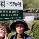 정옥순농장 이미지