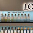 이사벨화장품 | [로에베LOEWE] 로에베 향수 운 파세오 포 마드리드 컬렉션 마이리트 MAYRIT(향태기 극복 챌린지②)