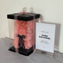 에이치에비뉴 | 천안 메이크업 불당동 에이치에비뉴 데일리메이크업 후기