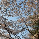 상상해물칼국수대곡본점 | 작동홍두깨칼국수 부천본점: 진달래동산 산책하고 먹는 뜨끈한 칼국수와 김치만두 (내돈내산)