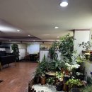 GS25전주제1공단점 | 전주 전북대 사주카페 추천 | '마이다스사주카페' 사주 타로 상담 후기