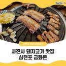 삼천포금화돈 이미지