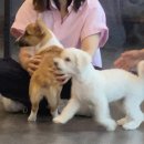 (주)알알알 이미지