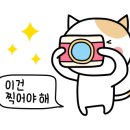 야옹아 멍멍해봐(에코시티점) 이미지