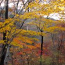 다락산장 이미지