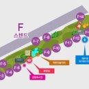 F1오토? 이미지