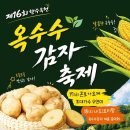 향수옥천 옥수수·감자축제 17일 개막…가요제·요리대회 풍성 이미지