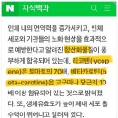 슈퍼푸드 아보카도 걱 영양제 아보걱오일 매일 아침 한 알 후기