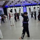 한국체대 영우태권도 이미지