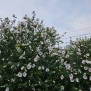 비치파크모텔 이미지