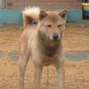 참진축산 이미지