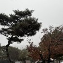 포천리버빌캠핑＆카페