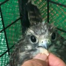 인계파출소 이미지