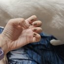 재뉴플랜 | 트렌드쇼퍼 허영지 소개템, jnf 수성네일 사용한 후 느낀 장단점, 발색