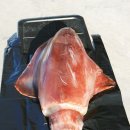 갯바위펜션 이미지