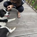 사과밭펜션 이미지