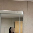 스테이509