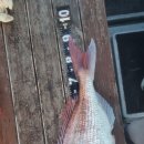 위더스관광 이미지