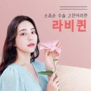 와이퀸산부인과의원 이미지