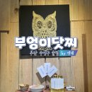 부엉이닷찌