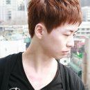 올리브라이브 이미지
