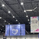 [2024 수원 일러스트 코리아 후기] 수일코 참가 일기!