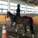 합천여자중학교 이미지