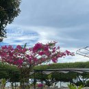 루미로사 | 길리T숙소 루미길리 솔직후기 @길리 신혼여행