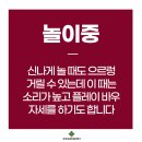바우동물병원 네이버블로그
