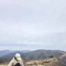 가지산돌짜장 | 울산 가지산돌짜장 후기 영남알프스 영축산 신불산 등산 후 필수코스