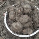 두평농장 이미지