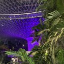 에이아이브릿지 | AAAI26 싱가포르 출장기 1/2