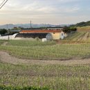 부흥 마을회관 이미지