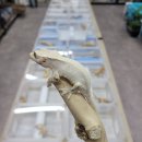 원창농장 이미지