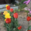 카페하애 이미지