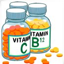 핏피티(Fit PT) 이미지