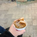 반월열기