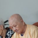 조은나무병원
