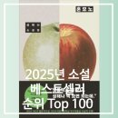 2025년 소설책 베스트셀러 순위 100위 총정리 알라딘 기준