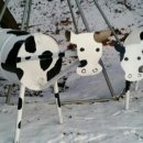 대룡목장 이미지