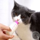 도토리마켓