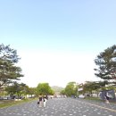 오후의 산책 | 주말 오후 대공원역 산책 후기｜2번 출구에서 서울대공원 입구까지 걷기 좋은 길