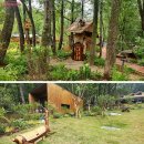 별 헤는 밤 200 | 수락휴 예약 성공 후기 트리하우스 명당 레스토랑 이용 꿀팁