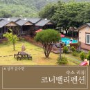 경북 성주시 코너밸리펜션 증산계곡 인근 숙소 추천, 내돈내산 후기