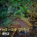 새연교횟집 | 6월 제주도 서귀포 아이와 가족여행 추천 새연교 일몰 야경 무료 놀거리